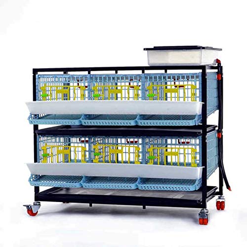 Wachtel Ei & Landwirtschaft Käfig, sechs Fach, zwei Böden, Erste in der Welt patentiertes Design Wachtel Ei & Landwirtschaft Käfig, sechs Fach, zwei Böden, Erste in der Welt patentiertes Design von Comfort Plast