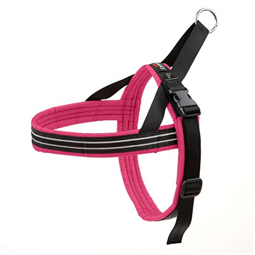 ComfortFlex American Made Quick Fit voll gepolstertes reflektierendes Sport-Hundegeschirr für aktive Hunde, s, Beere ComfortFlex American Made Quick Fit voll gepolstertes reflektierendes Sport-Hundegeschirr für aktive Hunde, s, Beere von ComfortFlex