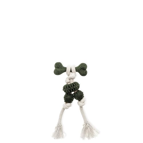 Ecomfy - Hundespielzeug Olive Eco Toother (Bone 20 cm) von Comfy