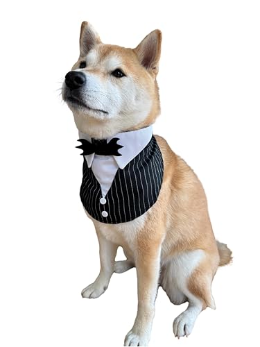 ComfyCamper Gruseliger Hunde-Smoking mit Fledermaus-Fliege, Halsband, Kostüm, XS, XXL, Gothic, Smoking, Cosplay, Halloween, S ComfyCamper Gruseliger Hunde-Smoking mit Fledermaus-Fliege, Halsband, Kostüm, XS, XXL, Gothic, Smoking, Cosplay, Halloween, S von ComfyCamper