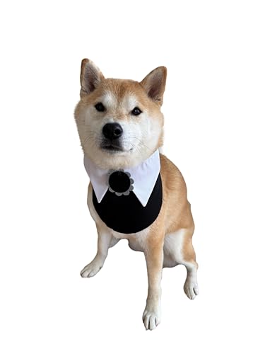 ComfyCamper Hundekostüm, Gothic, Smoking, Halsband, Größe XS, XXS, XXL, gruselig, formell, Smoking, Cosplay, Halloween, Größe XL ComfyCamper Hundekostüm, Gothic, Smoking, Halsband, Größe XS, XXS, XXL, gruselig, formell, Smoking, Cosplay, Halloween, Größe XL von ComfyCamper