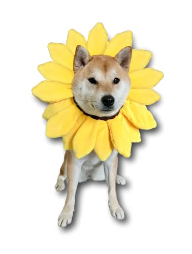 ComfyCamper Sonnenblumen-Hundekostüm für kleine, mittelgroße und große Hunde, Welpen, Katzen, Kätzchen, niedlicher Kopf, Blume, Stirnband, Outfits, Kragen, Kegel, Kostüm, Hut, Sombrero-Outfit, ComfyCamper Sonnenblumen-Hundekostüm für kleine, mittelgroße und große Hunde, Welpen, Katzen, Kätzchen, niedlicher Kopf, Blume, Stirnband, Outfits, Kragen, Kegel, Kostüm, Hut, Sombrero-Outfit, von ComfyCamper