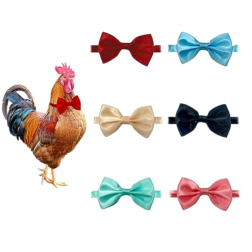 ComiMag 6 Stück St. Patrick's Day Huhn Fliege Huhn Halsband Hahnhalsband Krähe Kragen Hahn Hamster Schleife Papagei Bogen Vogel Bogen Kleintierschleife 12 ComiMag 6 Stück St. Patrick's Day Huhn Fliege Huhn Halsband Hahnhalsband Krähe Kragen Hahn Hamster Schleife Papagei Bogen Vogel Bogen Kleintierschleife 12 von ComiMag