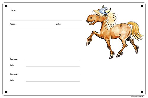 Boxenschild/Stalltafel Wikinger-Pony (Isländer/Islandpferd/Isi) Fuchs von Comic-Schilder.de