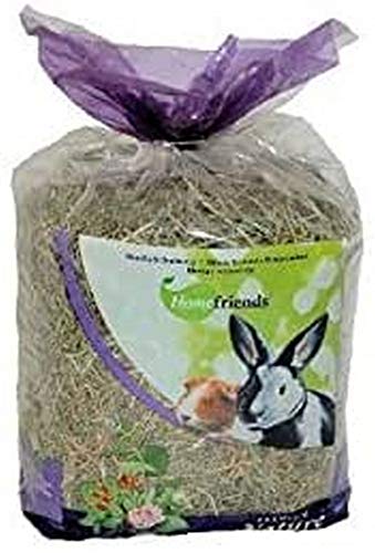 Homefriends Natürliches Heu für Nagetiere, Pfefferminz-Hagebutten, 500 g von Cominter