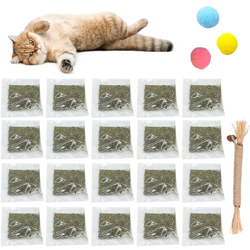 Comioke 20 Stück Katzenminze, Geschenkidee für Katzenliebhaber, Katzenspielzeug Katzen, Premium Katzenminze,Schonend Getrocknete Katzenminze,Katzenminze Sticks Für Katzen Comioke 20 Stück Katzenminze, Geschenkidee für Katzenliebhaber, Katzenspielzeug Katzen, Premium Katzenminze,Schonend Getrocknete Katzenminze,Katzenminze Sticks Für Katzen von Comioke