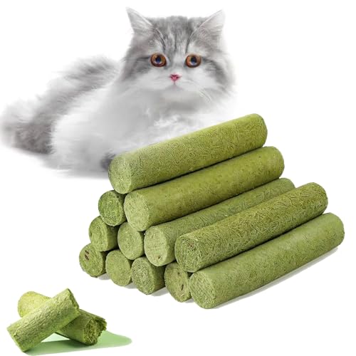 Comioke Katzengras Snack, Cat Grass Teething Sticks Für Indoor Cats, Zahnreiniger, Katzen-Kauspielzeug, Katzenminze-Spielzeug, Beißspielzeug Zur Haarballenentfernung von Comioke