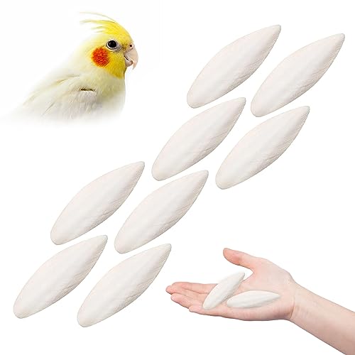 Comioke Sepiaschale Tintenfisch Sepia Knochen Kauspielzeug, 8 Stück Sepiaschalen Vögel Kauen Spielzeug Papageien Kauspielzeug Tintenfische Sepia Knochen für Schildkröten Vögel Schnecken,5-7cm von Comioke