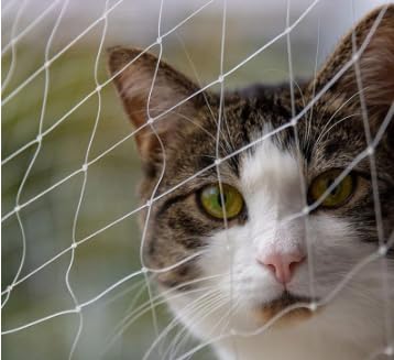 Katzennetz für Balkon 3x8M- Katzennetz DrahtverstäRkt Transparent - Robust Verdicktes Katzenschutznetz Balkon,Balkonnetz Haustiernetz für Katzen zur Sicherung von Terrassen Fenstern Zäune Türen (Weiß Katzennetz für Balkon 3x8M- Katzennetz DrahtverstäRkt Transparent - Robust Verdicktes Katzenschutznetz Balkon,Balkonnetz Haustiernetz für Katzen zur Sicherung von Terrassen Fenstern Zäune Türen (Weiß von Comioke