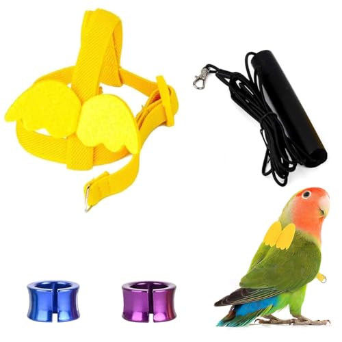 Vogel Geschirr, Papageien Vogelgeschirr Fluggeschirr Verstellbares Vogelgeschirr Vogel Leine Geschirr Haustier Vogel Flugtraining Seil für Mittelgroße Papageien Vogel Geschirr, Papageien Vogelgeschirr Fluggeschirr Verstellbares Vogelgeschirr Vogel Leine Geschirr Haustier Vogel Flugtraining Seil für Mittelgroße Papageien von Comioke