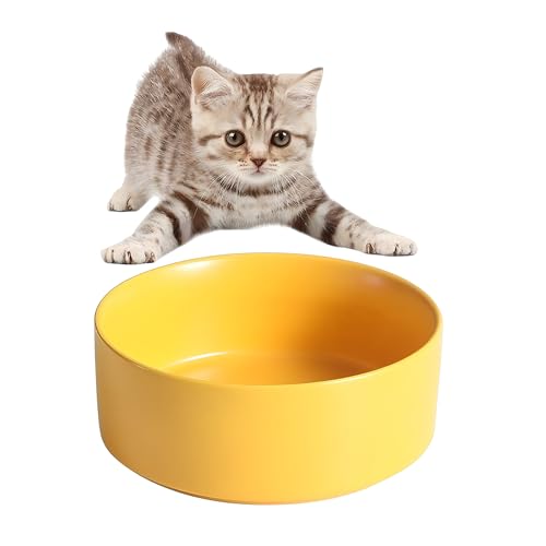 Keramischer Katzennapf, Katzennapf mit großem Fassungsvermögen (850ml), Katzenfressnapf, Fressnapf, Trinknapf für Haustiere, gesund und sicher, blei- und cadmiumfrei von CompadreBol