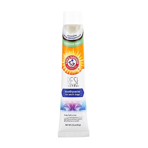 ARM & HAMMER Frische Kokosnuss-Minz-Zahnpasta für Hunde - Kokosnussöl und Enzymrezeptur helfen bei der Reduzierung von Zahnbelag und Zahnstein, Erfrischt den Atem, Zahnfleisch- und Zahnreinigung. ARM & HAMMER Frische Kokosnuss-Minz-Zahnpasta für Hunde - Kokosnussöl und Enzymrezeptur helfen bei der Reduzierung von Zahnbelag und Zahnstein, Erfrischt den Atem, Zahnfleisch- und Zahnreinigung. von Company of Animals