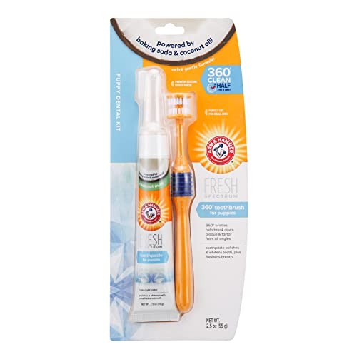 ARM & HAMMER Kokosnuss-Zahnpflegeset für Welpen - einhaltet 360°-Zahnbürste, Kokosnuss-Minz-Zahnpasta & Fingerbürste. Zahnsteinentferner, Erfrischt den Atem, Zahnfleisch- und Zahnreinigung. ARM & HAMMER Kokosnuss-Zahnpflegeset für Welpen - einhaltet 360°-Zahnbürste, Kokosnuss-Minz-Zahnpasta & Fingerbürste. Zahnsteinentferner, Erfrischt den Atem, Zahnfleisch- und Zahnreinigung. von Company of Animals