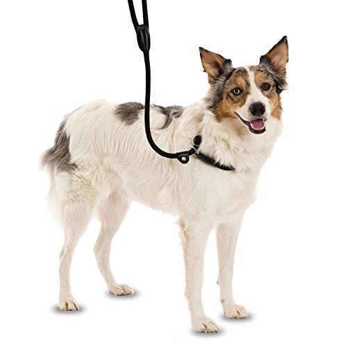 COMPANY OF ANIMALS 3-in-1 Retrieverleine, All-in-One Produkt. Weich, bequem und wetterresistent, Hundekurzleine für stark ziehende Hunde. (Größe Groß, Braun, 1.7 m) von Company of Animals