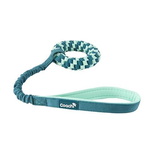 Coachi Puppy & Mini Tuggi Helix -Spaßig und Robustes Hundespielzeug, Dehnbare Bungee-Griff, Belohnungstraining, Rückruf, Unterbricht Beißen & Kauen, Ideal für Agility. Geeignet für Hunde & Welpen Coachi Puppy & Mini Tuggi Helix -Spaßig und Robustes Hundespielzeug, Dehnbare Bungee-Griff, Belohnungstraining, Rückruf, Unterbricht Beißen & Kauen, Ideal für Agility. Geeignet für Hunde & Welpen von Company of Animals