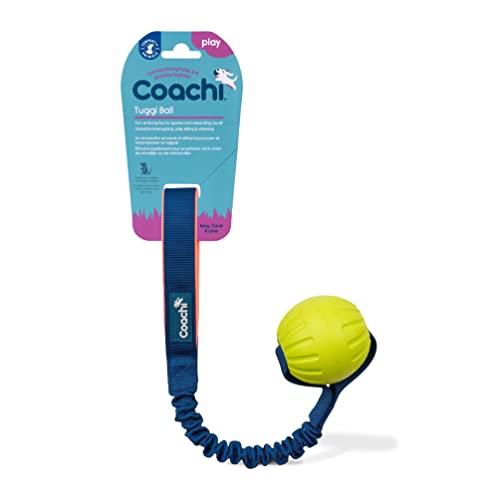 Coachi Tuggi Ball, Robustes Design, leicht, sicher, dehnbarer Bungee-Griff, ideal für alle Hunde & Welpen, Belohnungstraining, Rückruftraining, Unterbinden von Beißen & Kauen. Ideal für Agility. Coachi Tuggi Ball, Robustes Design, leicht, sicher, dehnbarer Bungee-Griff, ideal für alle Hunde & Welpen, Belohnungstraining, Rückruftraining, Unterbinden von Beißen & Kauen. Ideal für Agility. von Company of Animals