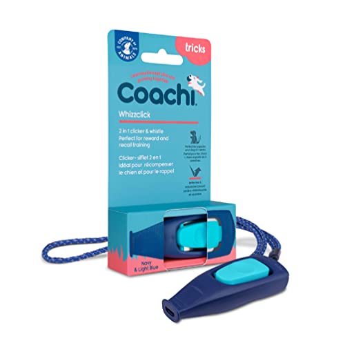 Coachi Whizzclick, 2-in-1 kombinierter Clicker und Pfeife, Hundetrainingspfeife für Rückruf- und Clickertraining zur Belohnung, verstellbares und reflektierendes Trageband, für alle Hunde und Welpen von Company of Animals