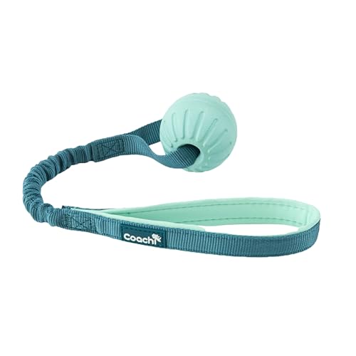 Coachi Puppy & Mini Tuggi Ball, Leicht, Robustes Hundespielzeug, Dehnbare Bungee-Griff, Perfekt für Alle Hunde & Welpen, Belohnungstraining, Rückruf, Unterbricht Beißen & Kauen, Ideal für Agility von Company of Animals