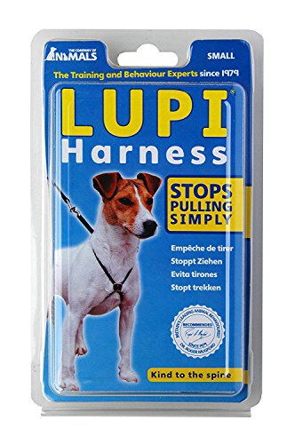 Company of Animals Hundegeschirr Lupi, S von Company of Animals