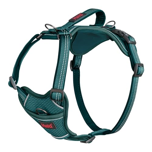 HALTI Anatomy Hundegeschirr mit Griff – Bewegungsfreiheit für deinen Hund. 3 Verbindungspunkte für die Leine, Neoprenpolsterung, verstellbar und reflektierend (Größe XS, Blaugrün) HALTI Anatomy Hundegeschirr mit Griff – Bewegungsfreiheit für deinen Hund. 3 Verbindungspunkte für die Leine, Neoprenpolsterung, verstellbar und reflektierend (Größe XS, Blaugrün) von Company of Animals