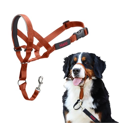 HALTI Kopfgeschirr - Verhindert, dass Ihr Hund an der Leine zieht, Einfache Anpassung, Leicht, mit gepolstertem Nasenriemen, Anti-Zug-Halsband für große Hunde (Größe 4, Dunkelorange) von Company of Animals