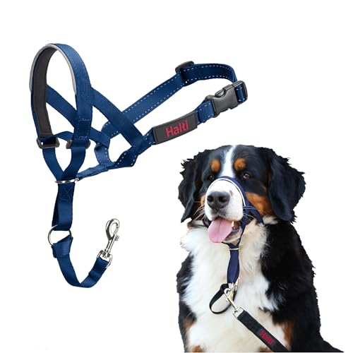 HALTI Kopfgeschirr - Verhindert, dass Ihr Hund an der Leine zieht, Einfache Anpassung, Leicht, mit gepolstertem Nasenriemen, Anti-Zug-Halsband für große Hunde (Größe 4, Kobaltblau) von Company of Animals