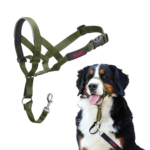 HALTI Kopfgeschirr - Verhindert, dass Ihr Hund an der Leine zieht, Einfache Anpassung, Leicht, mit gepolstertem Nasenriemen, Anti-Zug-Halsband für große Hunde (Größe 4, Waldgrün) von Company of Animals