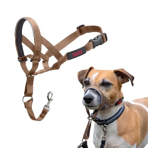 HALTI Kopfgeschirr - Verhindert, dass Ihr Hund an der Leine zieht, Einfache Anpassung, Leicht, mit gepolstertem Nasenriemen, Anti-Zug-Halsband für kleine Hunde (Größe 1, Wüstensand) von Company of Animals