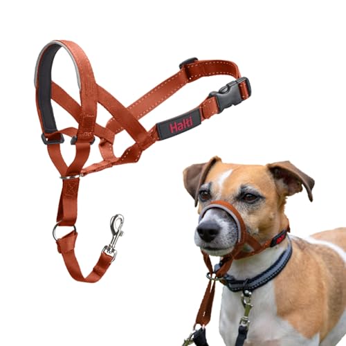 HALTI Kopfgeschirr - Verhindert, dass Ihr Hund an der Leine zieht, Einfache Anpassung, Leicht, mit gepolstertem Nasenriemen, Anti-Zug-Halsband für kleine Hunde (Größe 1, Dunkelorange) HALTI Kopfgeschirr - Verhindert, dass Ihr Hund an der Leine zieht, Einfache Anpassung, Leicht, mit gepolstertem Nasenriemen, Anti-Zug-Halsband für kleine Hunde (Größe 1, Dunkelorange) von Company of Animals
