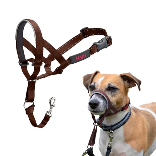 HALTI Kopfgeschirr - Verhindert, dass Ihr Hund an der Leine zieht, Einfache Anpassung, Leicht, mit gepolstertem Nasenriemen, Anti-Zug-Halsband für kleine Hunde (Größe 1, Walnussbraun) von Company of Animals