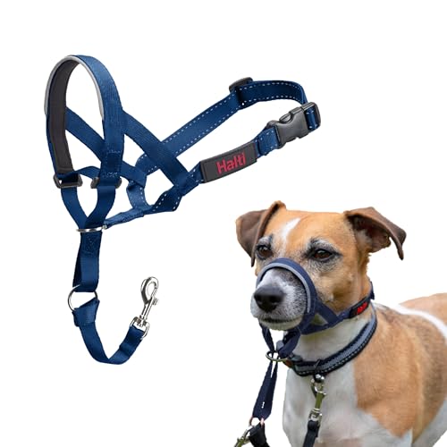 HALTI Kopfgeschirr - Verhindert, dass Ihr Hund an der Leine zieht, Einfache Anpassung, Leicht, mit gepolstertem Nasenriemen, Anti-Zug-Halsband für kleine Hunde (Größe 1, Kobaltblau) von Company of Animals
