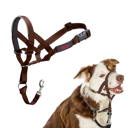 HALTI Kopfgeschirr - Verhindert, dass Ihr Hund an der Leine zieht, Einfache Anpassung, Leicht, mit gepolstertem Nasenriemen, Anti-Zug-Halsband für mittelgroße Hunde (Größe 2, Walnussbraun) HALTI Kopfgeschirr - Verhindert, dass Ihr Hund an der Leine zieht, Einfache Anpassung, Leicht, mit gepolstertem Nasenriemen, Anti-Zug-Halsband für mittelgroße Hunde (Größe 2, Walnussbraun) von Company of Animals