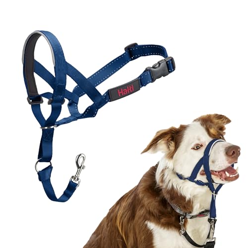 HALTI Kopfgeschirr - Verhindert, dass Ihr Hund an der Leine zieht, Einfache Anpassung, Leicht, mit gepolstertem Nasenriemen, Anti-Zug-Halsband für mittelgroße Hunde (Größe 2, Kobaltblau) von Company of Animals