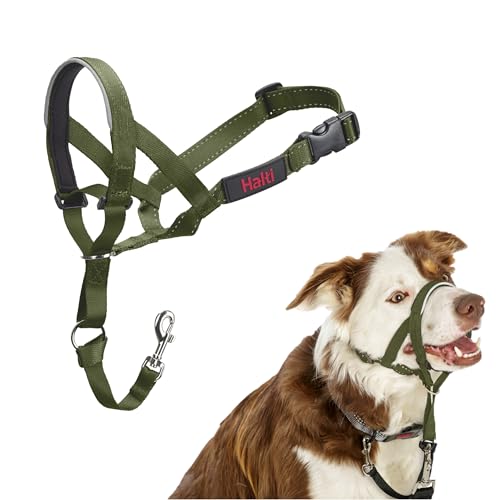 HALTI Kopfgeschirr - Verhindert, dass Ihr Hund an der Leine zieht, Einfache Anpassung, Leicht, mit gepolstertem Nasenriemen, Anti-Zug-Halsband für mittelgroße Hunde (Größe 2, Waldgrün) von Halti