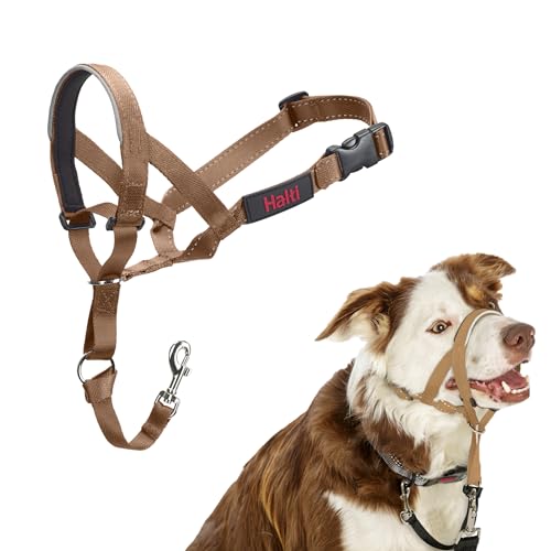 HALTI Kopfgeschirr - Verhindert, dass Ihr Hund an der Leine zieht, Einfache Anpassung, Leicht, mit gepolstertem Nasenriemen, Anti-Zug-Halsband für mittelgroße Hunde (Größe 2, Wüstensand) von Company of Animals
