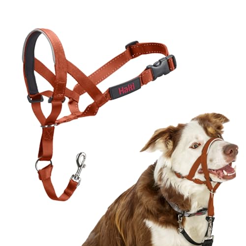 HALTI Kopfgeschirr - Verhindert, dass Ihr Hund an der Leine zieht, Einfache Anpassung, Leicht, mit gepolstertem Nasenriemen, Anti-Zug-Halsband für mittelgroße Hunde (Größe 2, Dunkelorange) von Company of Animals