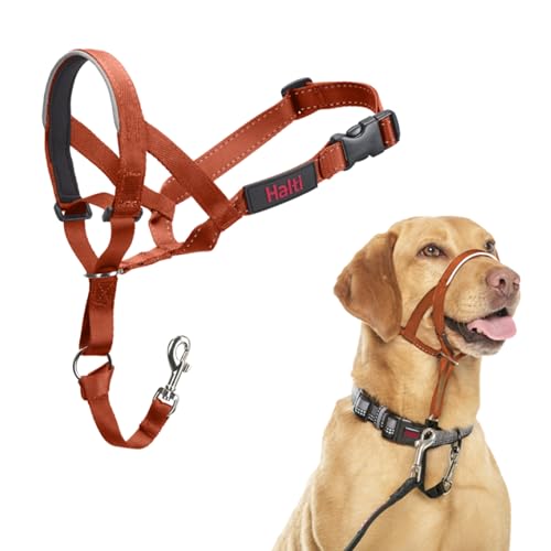 HALTI Kopfgeschirr - Verhindert, dass Ihr Hund an der Leine zieht, Einfache Anpassung, Leicht, mit gepolstertem Nasenriemen, Anti-Zug-Halsband für mittelgroße Hunde (Größe 3, Dunkelorange) von Company of Animals