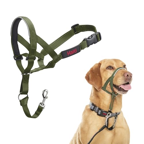 HALTI Kopfgeschirr - Verhindert, dass Ihr Hund an der Leine zieht, Einfache Anpassung, Leicht, mit gepolstertem Nasenriemen, Anti-Zug-Halsband für mittelgroße Hunde (Größe 3, Waldgrün) HALTI Kopfgeschirr - Verhindert, dass Ihr Hund an der Leine zieht, Einfache Anpassung, Leicht, mit gepolstertem Nasenriemen, Anti-Zug-Halsband für mittelgroße Hunde (Größe 3, Waldgrün) von Company of Animals
