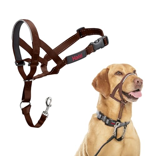 HALTI Kopfgeschirr - Verhindert, dass Ihr Hund an der Leine zieht, Einfache Anpassung, Leicht, mit gepolstertem Nasenriemen, Anti-Zug-Halsband für mittelgroße Hunde (Größe 3, Walnussbraun) von Company of Animals