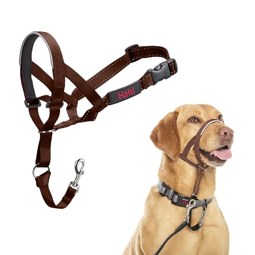 HALTI Kopfgeschirr - Verhindert, dass Ihr Hund an der Leine zieht, Einfache Anpassung, Leicht, mit gepolstertem Nasenriemen, Anti-Zug-Halsband für mittelgroße Hunde (Größe 3, Walnussbraun) HALTI Kopfgeschirr - Verhindert, dass Ihr Hund an der Leine zieht, Einfache Anpassung, Leicht, mit gepolstertem Nasenriemen, Anti-Zug-Halsband für mittelgroße Hunde (Größe 3, Walnussbraun) von Company of Animals