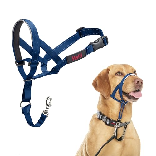 HALTI Kopfgeschirr - Verhindert, dass Ihr Hund an der Leine zieht, Einfache Anpassung, Leicht, mit gepolstertem Nasenriemen, Anti-Zug-Halsband für mittelgroße Hunde (Größe 3, Kobaltblau) von Company of Animals