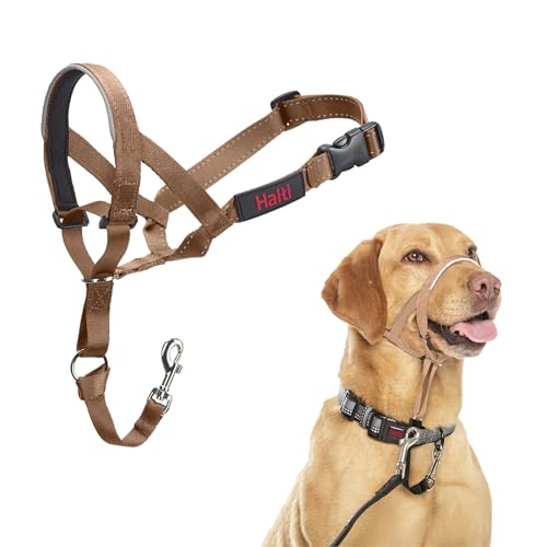 HALTI Kopfgeschirr - Verhindert, dass Ihr Hund an der Leine zieht, Einfache Anpassung, Leicht, mit gepolstertem Nasenriemen, Anti-Zug-Halsband für mittelgroße Hunde (Größe 3, Wüstensand) von Company of Animals