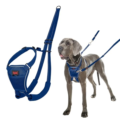 HALTI No Pull Anti-Zug Geschirr - Verhindert, DASS Ihr Hund an der Leine zieht, Gepolsterter Brust- und Beingurt, Reflektierendes Gurtmaterial, Einfache Anpassung und Benutzung (Größe L, Kobaltblau) von Company of Animals