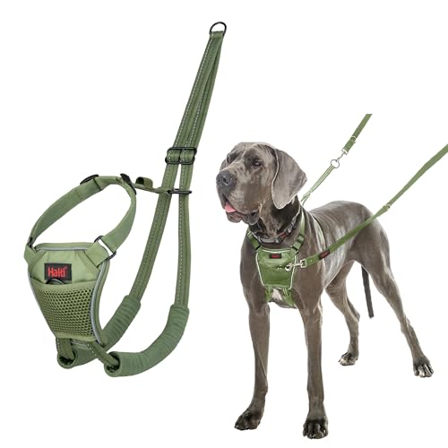 HALTI No Pull Anti-Zug Geschirr - Verhindert, DASS Ihr Hund an der Leine zieht, Gepolsterter Brust- und Beingurt, Reflektierendes Gurtmaterial, Einfache Anpassung und Benutzung (Größe L, Waldgrün) von Company of Animals
