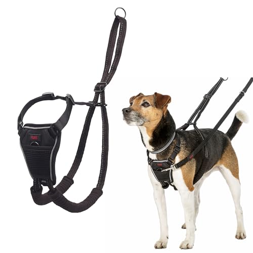 HALTI No Pull Anti-Zug Geschirr - Verhindert, DASS Ihr Hund an der Leine zieht, Gepolsterter Brust- und Beingurt, Reflektierendes Gurtmaterial, Einfache Anpassung und Benutzung (Größe XS, Schwarz) von Company of Animals