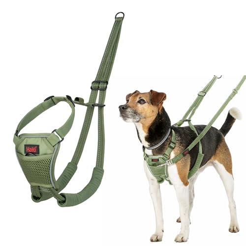 HALTI No Pull Anti-Zug Geschirr - Verhindert, DASS Ihr Hund an der Leine zieht, Gepolsterter Brust- und Beingurt, Reflektierendes Gurtmaterial, Einfache Anpassung und Benutzung (Größe XS, Waldgrün) von Company of Animals