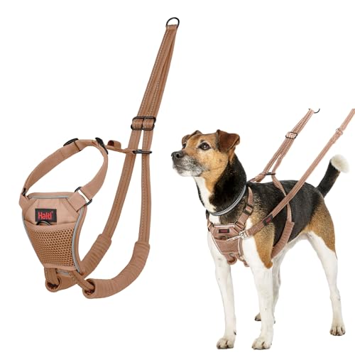 HALTI No Pull Anti-Zug Geschirr - Verhindert, DASS Ihr Hund an der Leine zieht, Gepolsterter Brust- und Beingurt, Reflektierendes Gurtmaterial, Einfache Anpassung und Benutzung (Größe XS, Wüstensand) von Company of Animals