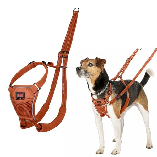 HALTI No Pull Anti-Zug Geschirr - Verhindert, dass Ihr Hund an der Leine zieht, Gepolsterter Brust- und Beingurt, Reflektierendes Gurtmaterial, Einfache Anpassung und Benutzung(Größe XS, Dunkelorange) von Company of Animals