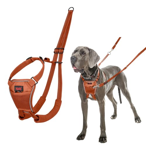 HALTI No Pull Anti-Zug Geschirr - Verhindert, dass Ihr Hund an der Leine zieht, Gepolsterter Brust- und Beingurt, Reflektierendes Gurtmaterial, Einfache Anpassung und Benutzung (Größe L, Dunkelorange) von Company of Animals