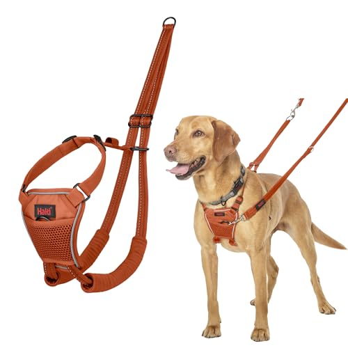 HALTI No Pull Anti-Zug Geschirr - Verhindert, dass Ihr Hund an der Leine zieht, Gepolsterter Brust- und Beingurt, Reflektierendes Gurtmaterial, Einfache Anpassung und Benutzung (Größe M, Dunkelorange) von Company of Animals